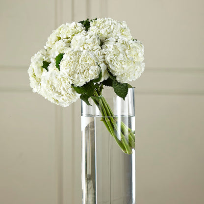White Hydrangea Hand-Tied Bouquet – DIGIORGIO'S FLORIST, Charleroi PA