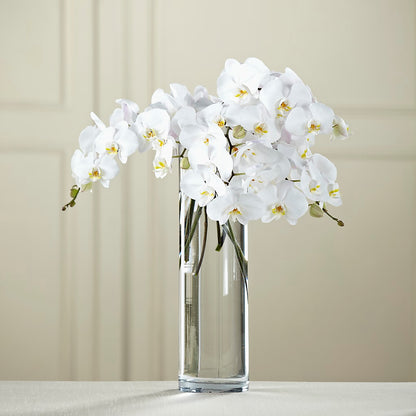 White Phalaenopsis Bouquet – DIGIORGIO'S FLORIST, Charleroi PA
