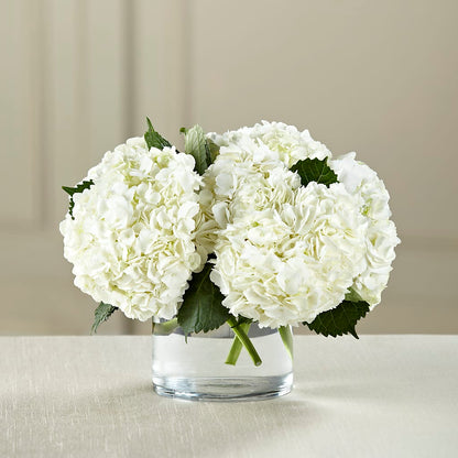 White Hydrangea Bouquet – DIGIORGIO'S FLORIST, Charleroi PA