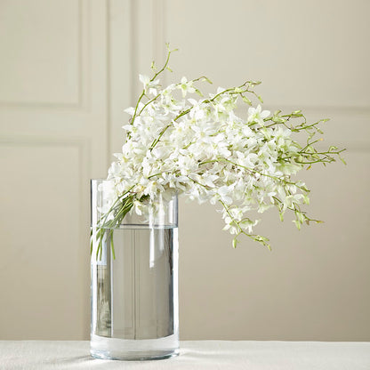 White Dendrobium Bouquet – DIGIORGIO'S FLORIST, Charleroi PA