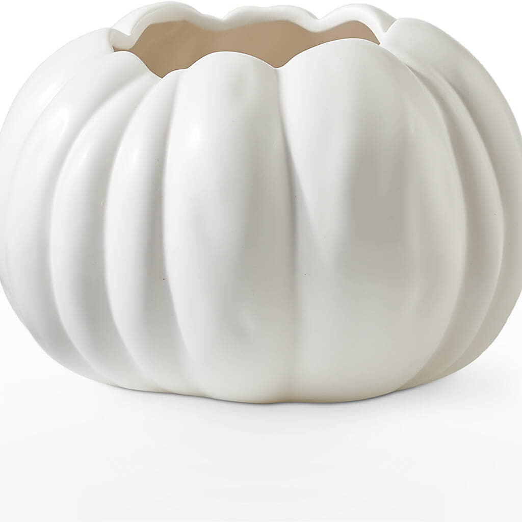 Pumpkin to Talk About Bouquet – DIGIORGIO'S FLORIST, Charleroi PA